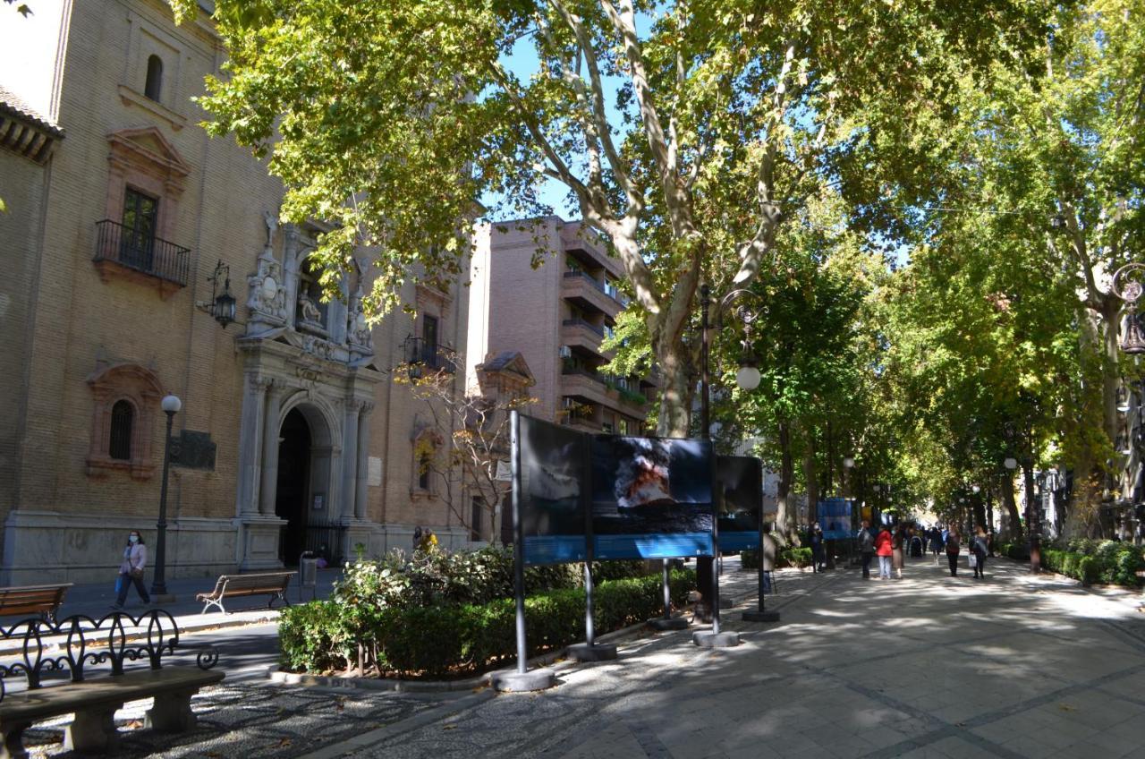 Carmela De Dos Granada